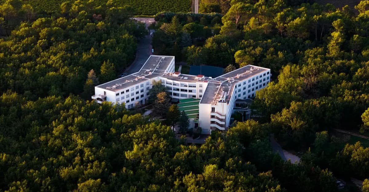 Hôtel Urbain ou Hôtel Nature : Quelle Expérience Choisir ?